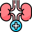 Nephrology